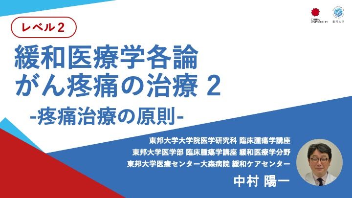 緩和医療学各論 がん疼痛の治療2   -疼痛治療の原則-